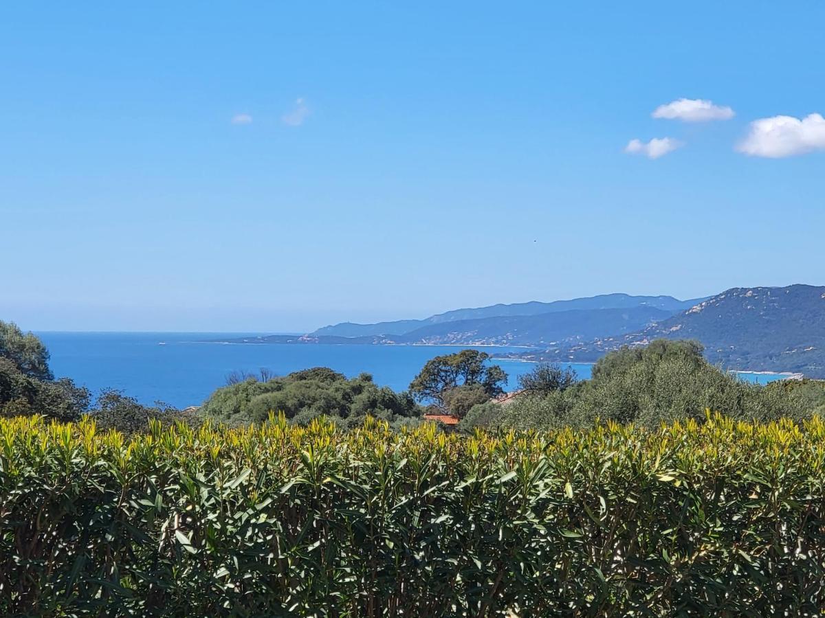 T3 Propriano Vue Mer, Neuf, Climatise Et Classe 4 Etoiles Viggianello Exterior foto