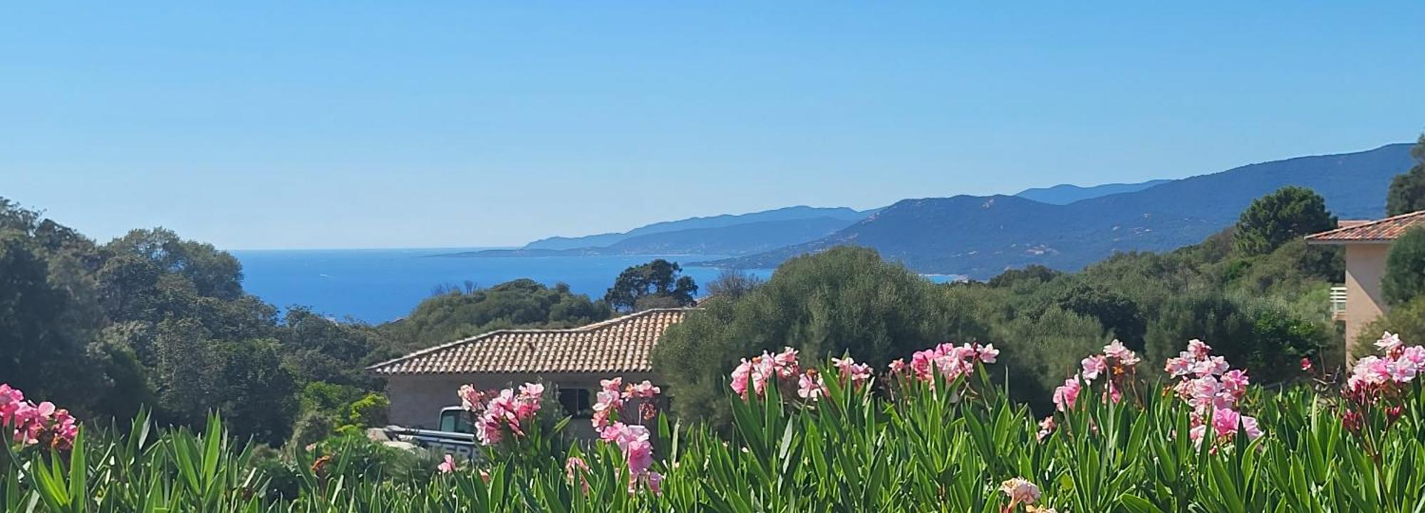 T3 Propriano Vue Mer, Neuf, Climatise Et Classe 4 Etoiles Viggianello Exterior foto